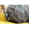 Microphone Rode Stereo VideoMic X - BroadCast XY Vidéo - suspension Rycote - Rode Stereo VideoMic X