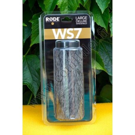 Rode WS7 - Rode WS7