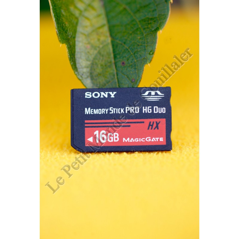 Carte-mémoire 16Go Sony MS-HX16A - Memory Stick PRO-HG Duo HX MagicGate - Sony MS-HX16A Carte-mémoire 16Go Sony MS-HX16A - Memory Stick PRO-HG Duo HX MagicGate - Sony MS-HX16A